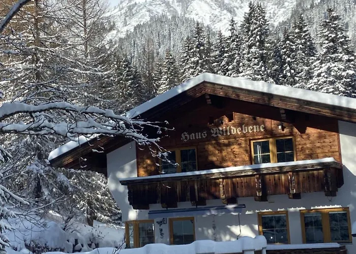 Haus Wildebene
