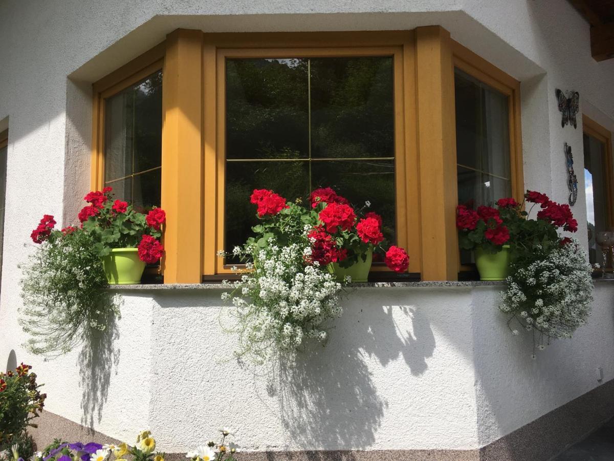 Apartment Haus Wildebene *